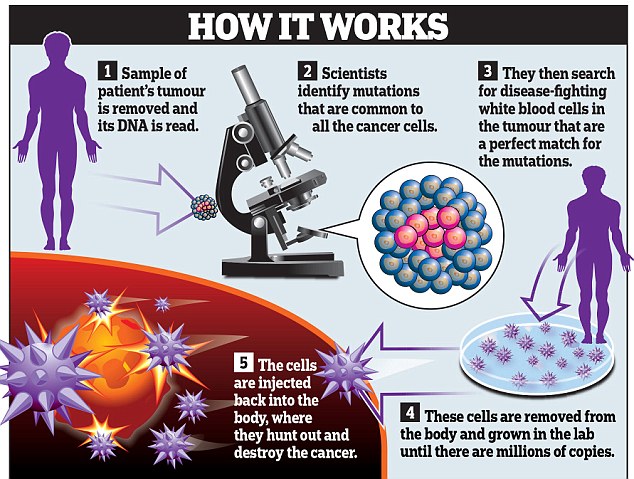 04M_Cancer Graphic