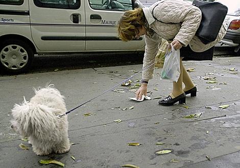 A woman picking up dog poo.