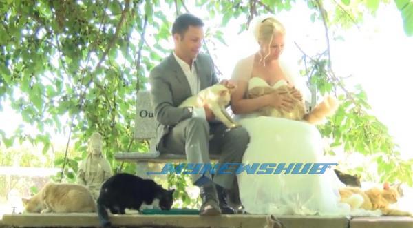 Canadian-couple-hold-wedding-in-front-of-1100-cats