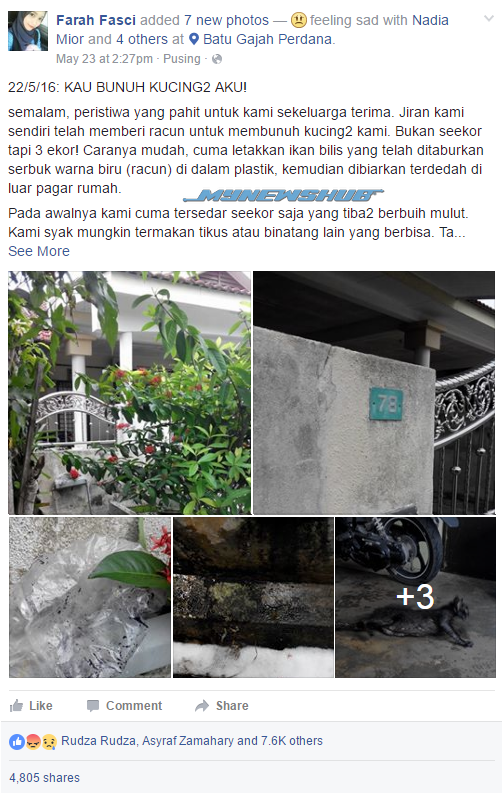 Zalim, Tiga Kucing Mati Diracun Jiran