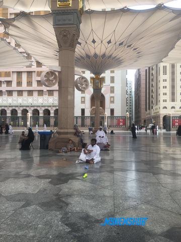 Suhu Panas 39 Celcius Sambut Jemaah Di Madinah