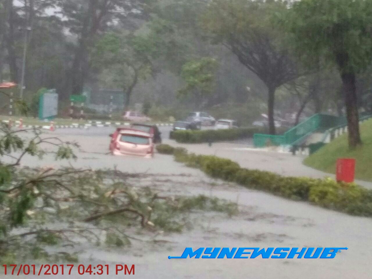 Ribut Landa UIAM Gombak, Pokok Hempap Kereta Staf