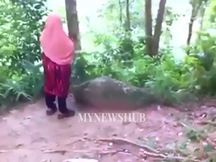 Kasih Seorang Ibu... Sanggup Daki Bukit Cari Anak Hilang