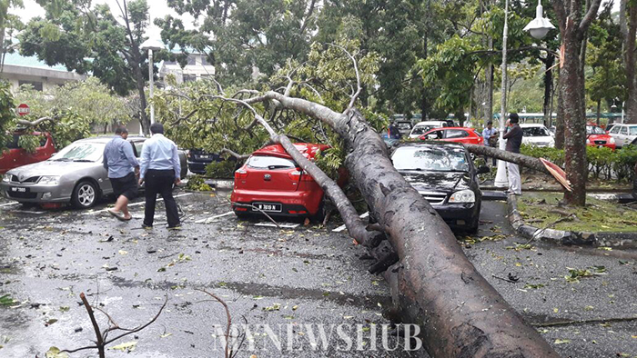 Ribut Landa UIAM Gombak, Pokok Hempap Kereta Staf