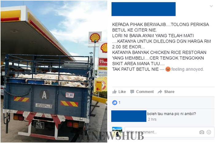 Lori Dipenuhi Bangkai Ayam Dijual RM2