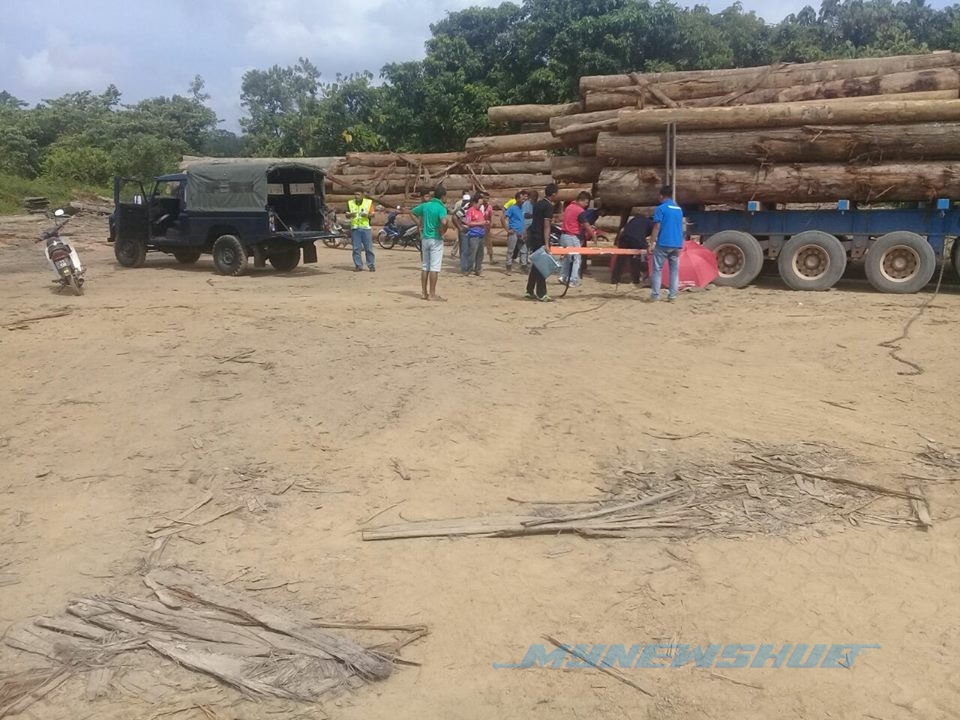 Pemandu Lori Maut Dihempap Kayu Balak