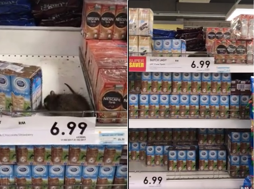 Video: Tikus 'Rehat' Sebentar Di AEON Bandar Utama