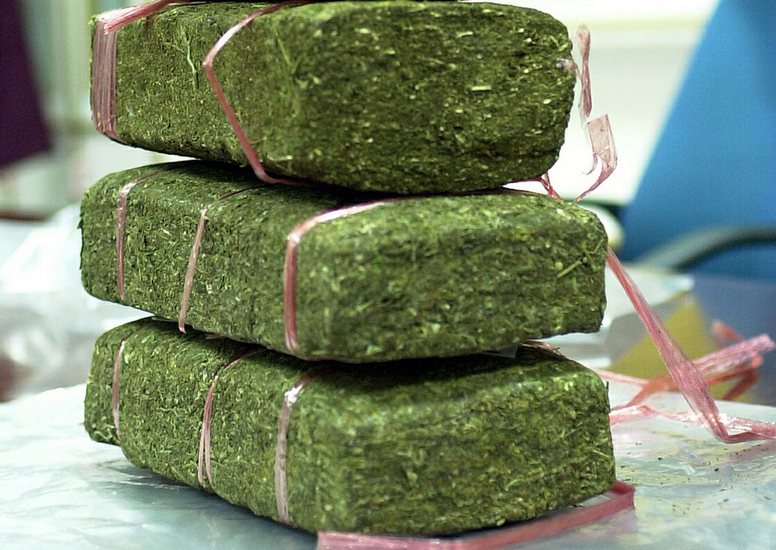 Ganja Berkesan Kekerapan Serangan Sawan - MYNEWSHUB