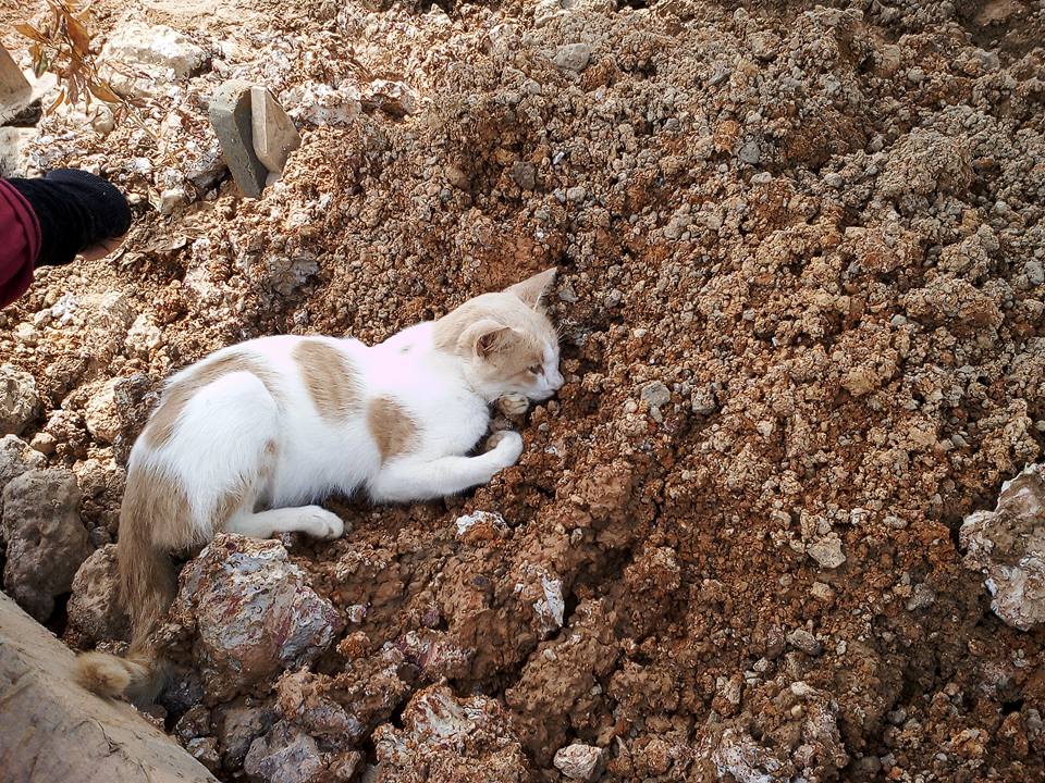 Kisah Sayu 'Abang' Mati Rindukan Atok