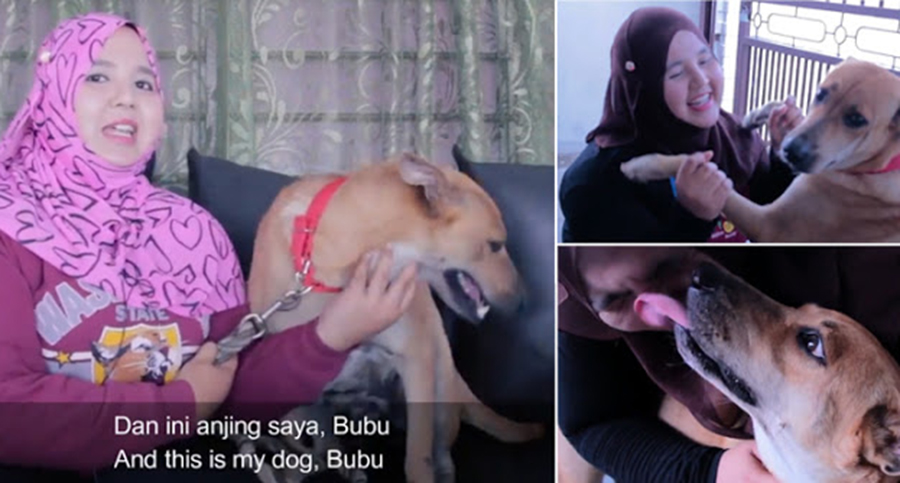 Umat Islam Dilarang Pelihara Anjing Dalam Rumah