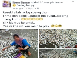 Ikan puyu naik darat