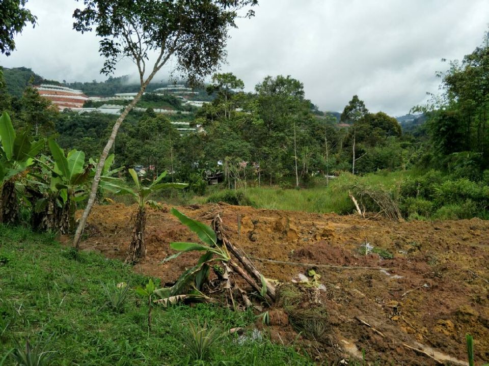 Penduduk Orang Asli Diancam Hakisan Tanah Bukit - MYNEWSHUB