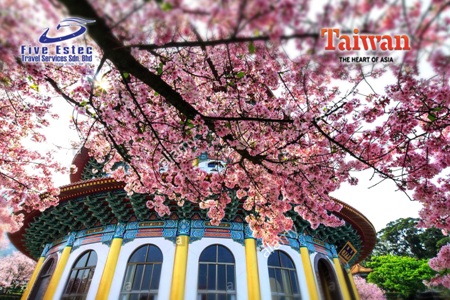  Bunga  Sakura  Taiwan Tidak Hanya Di Jepun Korea MYNEWSHUB